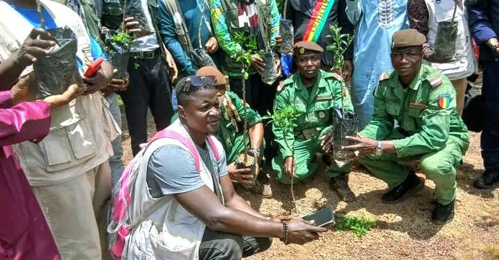 🇬🇳LABÉ : 376 plants d’oranger mis en terre à Pilimini pour renforcer la restauration du couvert végétal