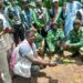 🇬🇳LABÉ : 376 plants d’oranger mis en terre à Pilimini pour renforcer la restauration du couvert végétal