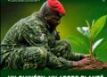 🇬🇳Environnement : Reboiser, c’est agir. Entretenir, c’est protéger