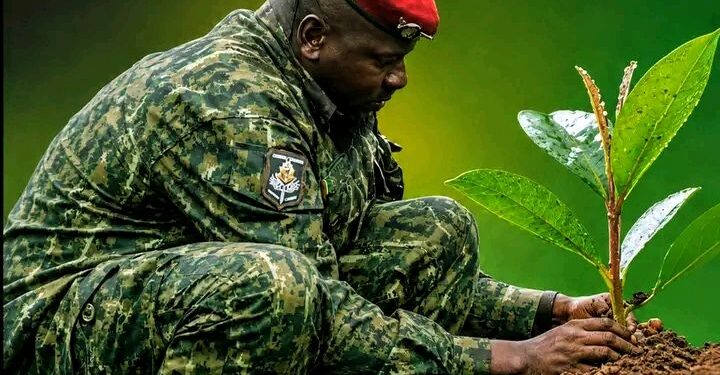 🇬🇳Environnement : Reboiser, c’est agir. Entretenir, c’est protéger
