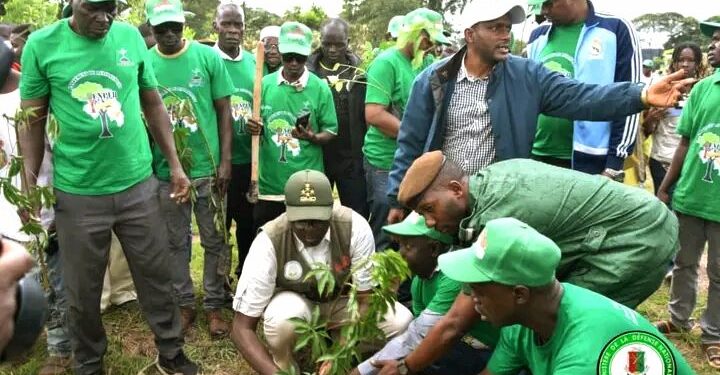 🇬🇳Moyen-Guinée : Un front uni face au péril environnemental