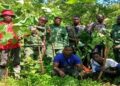 🇬🇳Environnement : Des groupements de femmes et de jeunes filles engagés dans la restauration des terres dégradées