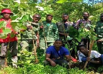 🇬🇳Environnement : Des groupements de femmes et de jeunes filles engagés dans la restauration des terres dégradées