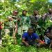 🇬🇳Environnement : Des groupements de femmes et de jeunes filles engagés dans la restauration des terres dégradées