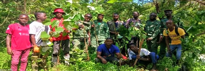 🇬🇳Environnement : Des groupements de femmes et de jeunes filles engagés dans la restauration des terres dégradées