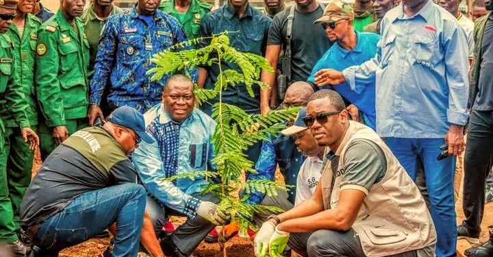 🇬🇳Environnement : Planter, c’est agir. Entretenir, c’est s’engager