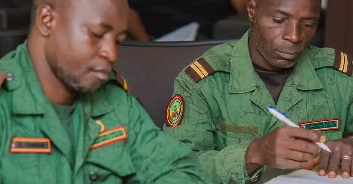🇬🇳Campagne nationale de reboisement 2026 : cap sur le suivi