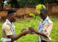 🇬🇳Protection de la nature : Le scoutisme au service de l’environnement
