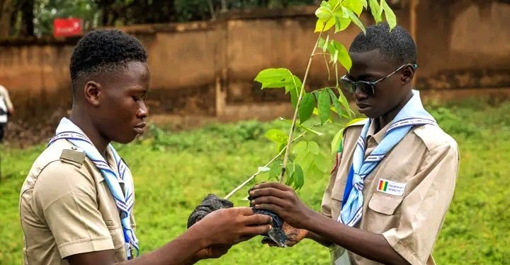 🇬🇳Protection de la nature : Le scoutisme au service de l’environnement