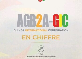 AGB2A-GIC : Des chiffres qui traduisent un engagement concret pour la restauration du couvert végétal