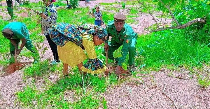 🇬🇳Reboisement à Kankan : La mobilisation se poursuit sous le slogan « Un Guinéen, un arbre »