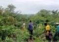🇬🇳YEMBERING – 11 hectares pour enrichir la forêt de Sintirou