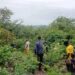 🇬🇳YEMBERING – 11 hectares pour enrichir la forêt de Sintirou