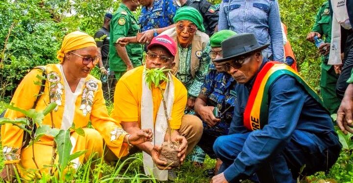 🇬🇳Kindia : Clôture de la campagne « Une femme, un arbre
