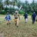 🇬🇳Environnement : Inspection du projet pilote de restauration des mangroves à Kakossa