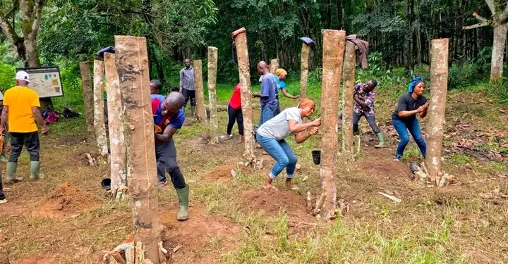 🇬🇳N’Zérékoré : La SOGUIPAH mise sur la formation pour relancer ses plantations