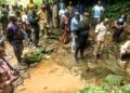 🇬🇳Kindia : 5 hectares reboisés dans la forêt de Koukou pour renforcer le couvert végétal