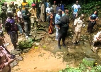 🇬🇳Kindia : 5 hectares reboisés dans la forêt de Koukou pour renforcer le couvert végétal