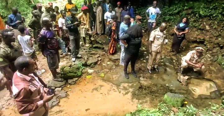 🇬🇳Kindia : 5 hectares reboisés dans la forêt de Koukou pour renforcer le couvert végétal