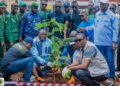 🇬🇳Campagne nationale de reboisement 2026 : Après la plantation, faisons vivre nos plants !