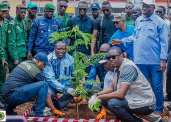 🇬🇳Campagne nationale de reboisement 2026 : Après la plantation, faisons vivre nos plants !