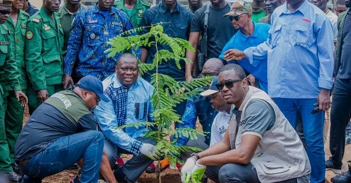 🇬🇳Campagne nationale de reboisement 2026 : Après la plantation, faisons vivre nos plants !