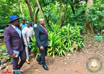 🇬🇳Environnement : Le ministre amorce la réhabilitation du Jardin botanique de Camayenne