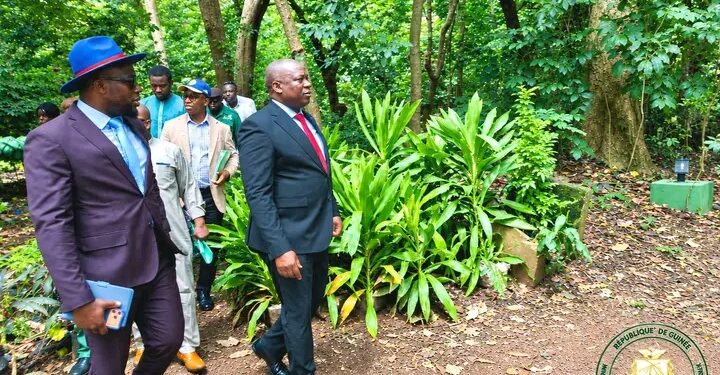 🇬🇳Environnement : Le ministre amorce la réhabilitation du Jardin botanique de Camayenne