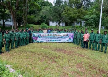🇬🇳Environnement : Atelier de renforcement des capacités des agents forestiers