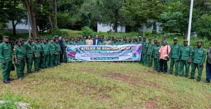 🇬🇳Environnement : Atelier de renforcement des capacités des agents forestiers