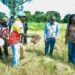 🇬🇳Guinée : Le Ministère de l’Agriculture et la Banque mondiale évaluent les investissements du PDACG à Kankan et Boké