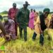 🇬🇳Kankan : La Chambre Régionale d’Agriculture appuie la mécanisation de la filière fonio