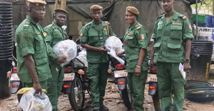 🇬🇳Reboisement compensatoire du projet d’Amaria : La DNFF renforce le suivi