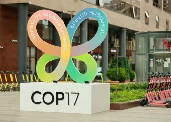🇬🇳COP17 à Erevan : La Guinée plaide pour un accès simplifié aux financements du FEM