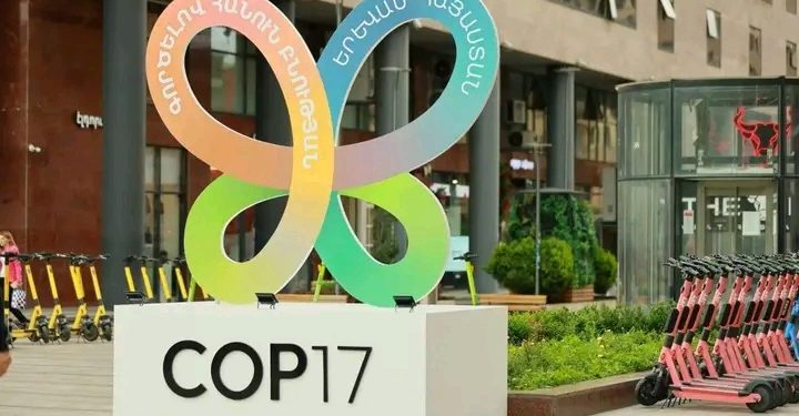 🇬🇳COP17 à Erevan : La Guinée plaide pour un accès simplifié aux financements du FEM