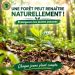 🇬🇳Guinée : La forêt peut renaître par la régénération naturelle