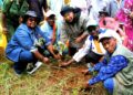 🇬🇳Guinée–Maroc : Les deux pays renforcent leur coopération dans les domaines de l’assainissement et de la transition écologique
