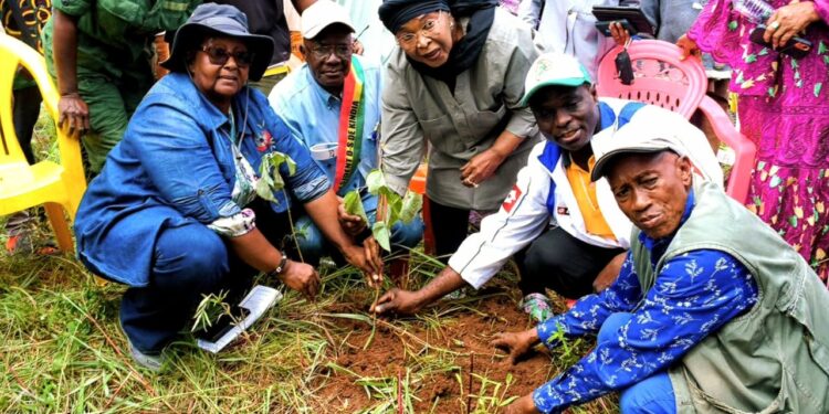 🇬🇳Guinée–Maroc : Les deux pays renforcent leur coopération dans les domaines de l’assainissement et de la transition écologique
