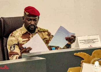 Protection de l’environnement en Guinée : L&rsquo;État ratifie l’accord sur le Centre international de la mangrove