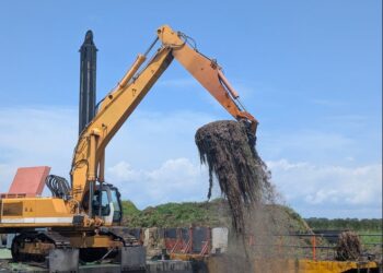 Environnement : Une plante aquatique envahissante transformée en compost biologique