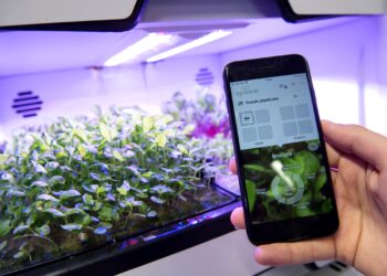 Protection de la nature : L’Afrique rejoint la plateforme PRISMA pour la protection végétale