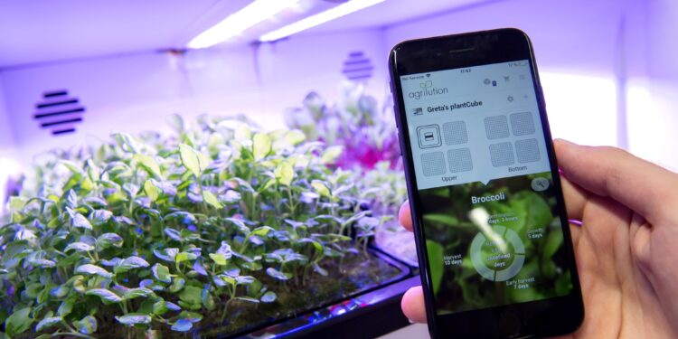 Protection de la nature : L’Afrique rejoint la plateforme PRISMA pour la protection végétale