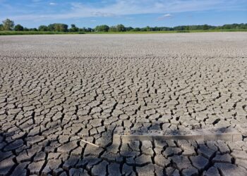 Environnement : Un partenariat pour restaurer 80 000 hectares de terres dégradées au Sénégal