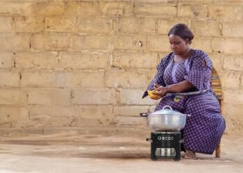 Énergie durable : Projet de distribution de 250 000 réchauds à biomasse à Madagascar