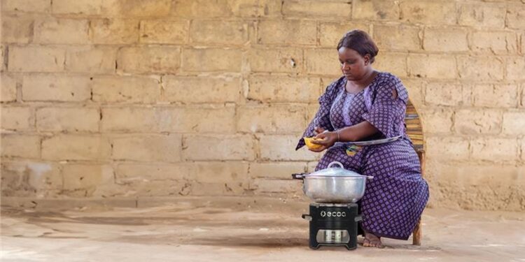 Énergie durable : Projet de distribution de 250 000 réchauds à biomasse à Madagascar