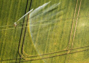 Agriculture durable : Un modèle d’IA pour adapter l’agriculture africaine au climat