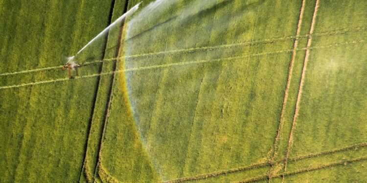 Agriculture durable : Un modèle d’IA pour adapter l’agriculture africaine au climat