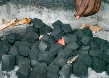 Économie verte / Déforestation : Le Burkina Faso promeut le charbon écologique