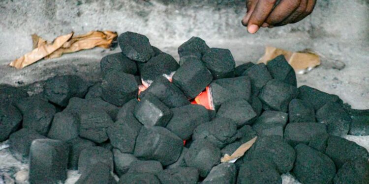 Économie verte / Déforestation : Le Burkina Faso promeut le charbon écologique