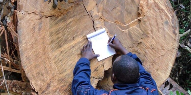 Environnement /Gouvernance forestière : Coopération entre le Congo et l’Union européenne